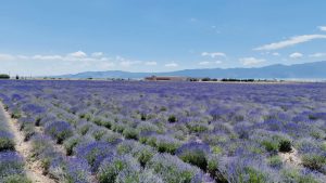 Malësi e Madhe Image